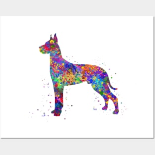 Great Dane Dog watercolor Posters and Art